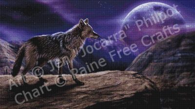 Lone Coyote