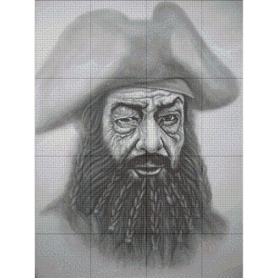 Privateer - Image 2