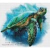 KAJ-Seaturtle Sea Turtle