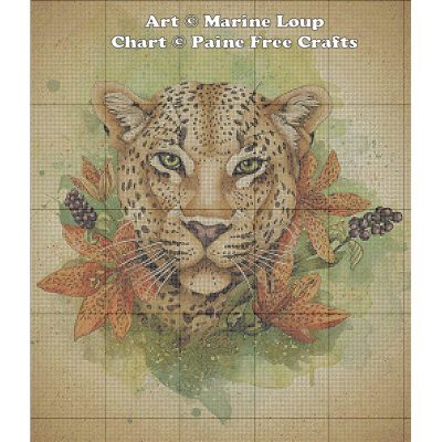 Leopard - Image 2