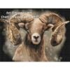 KAJ-MountainSheep Mountain Sheep