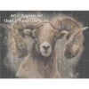 KAJ-MountainSheep-grid Mountain Sheep