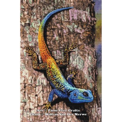 Southern Tree Agama