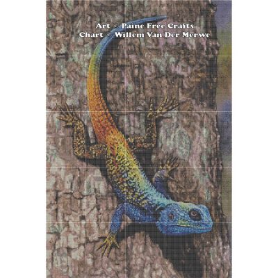 Southern Tree Agama - Image 2