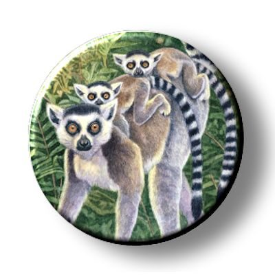 Ring Tailed Lemurs (Needleminder)