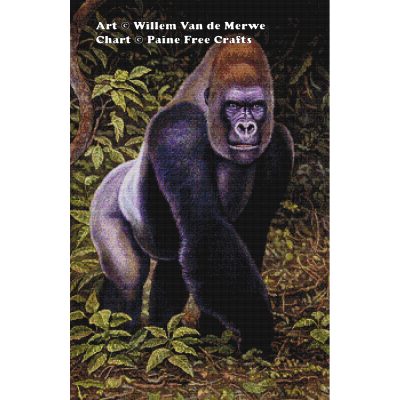 Western Lowland Gorilla