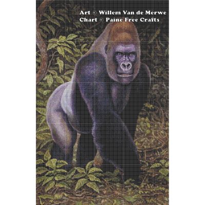 Western Lowland Gorilla - Image 2