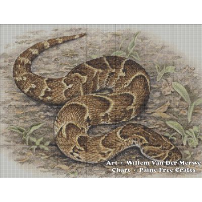 Puff Adder - Image 2