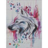 Geometry of Wolf