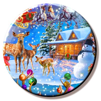 Snow Globe (Needleminder)