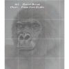 DB-Gorilla-grid Gorilla