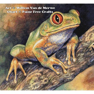 Forest Tree Frog