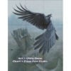 CD-Raven-grid The Raven