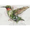 Hummingbird