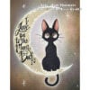 TS-MoonAndBack To the Moon and Back