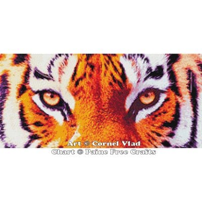 Tiger Stare