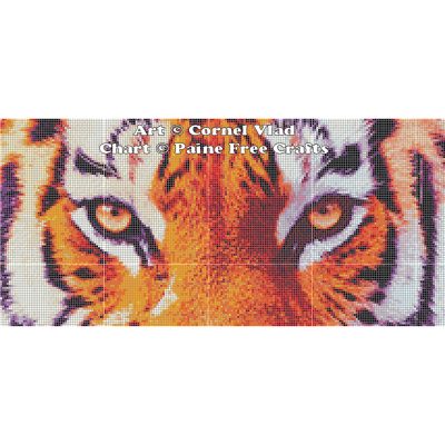 Tiger Stare - Image 2