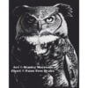 Great Horned Dragon Owl