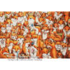 AL-FoxFamily Fox Family