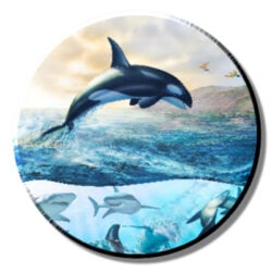 Orca (portion) (needleminder)
