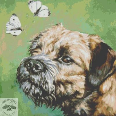 Border Terrier (LA Shepard, Thread Geeks)