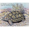 WvdM-Padloper Speckled Padloper
