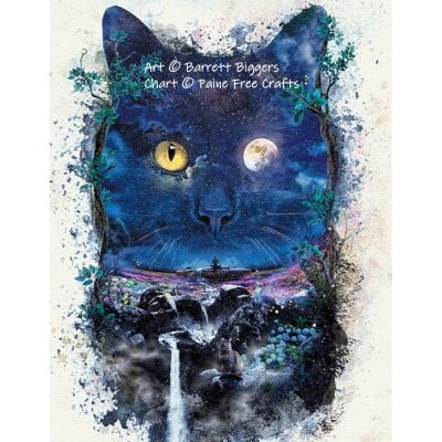 Night Cat
