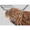 Toffee the Highland Cow