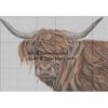 Toffee the Highland Cow