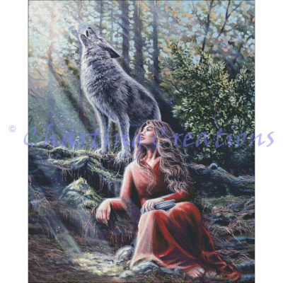 Reading with the Wolves (Dakota Daetwiler)