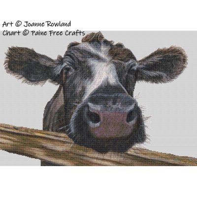 Muriel the Curious Calf