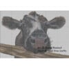 JR-Muriel-grid Muriel the Curious Calf