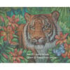 Tiger Lily