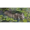 LP-WhiteTigerLily White Tiger Lily