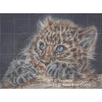 Scaredy Cat - Image 2