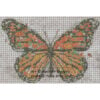 Monarch