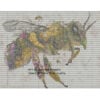 Must Bee the Honey