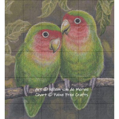 Rosy Faced Lovebirds - Image 2