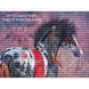 LP-WarPonyII War Pony II