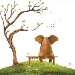 Park Your Elephant (No Background) (Natalia Maroz)