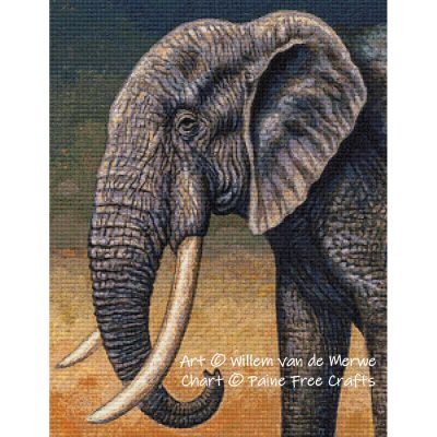 Elephant Portrait