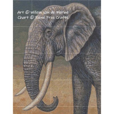 Elephant Portrait - Image 2