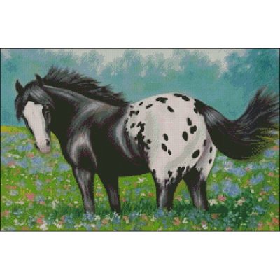 Appy Meadow (Bridget Voth)