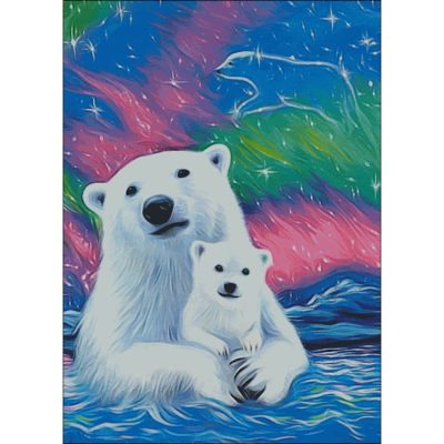 Arctic Lights (Bridget Voth)