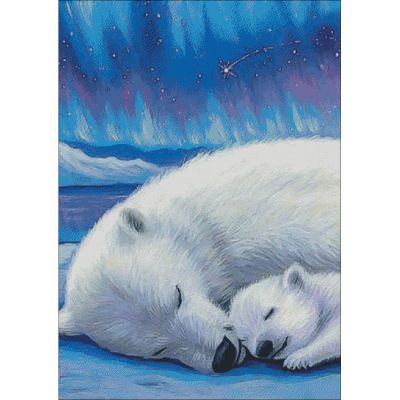 Arctic Dreams (Bridget Voth)