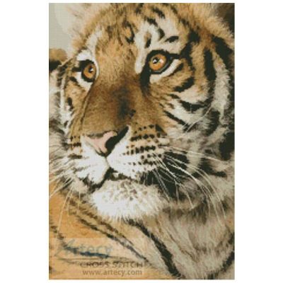 Bengal Tiger Cub (photostogo.com)