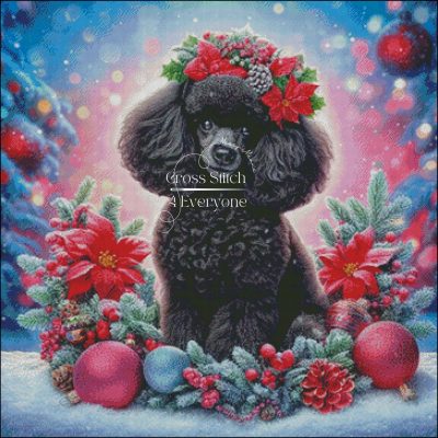 Festive Toy Poodle