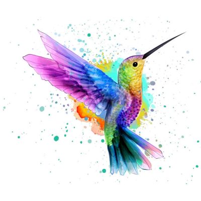 Colorful Hummer (Roxy)