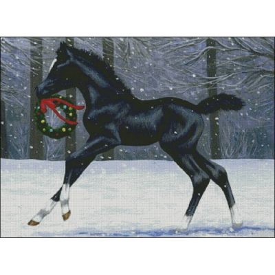 Dashing Through The Snow (Bridget Voth)