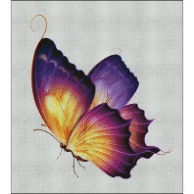 Dreamy In Orange And Purple (Public Domain or Stock Art (Licenced))